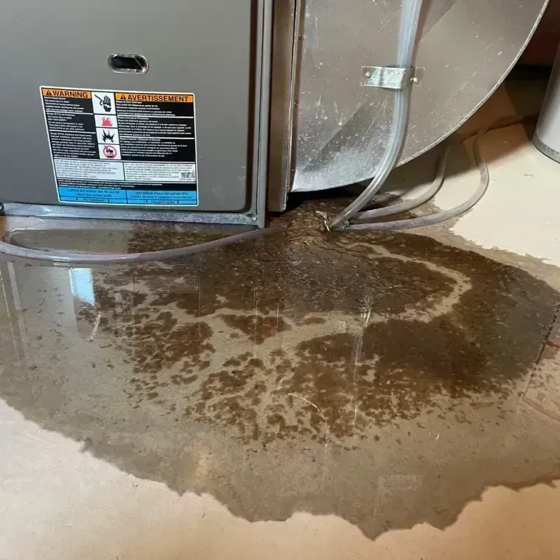 Appliance Leak Cleanup in Elkton, KY